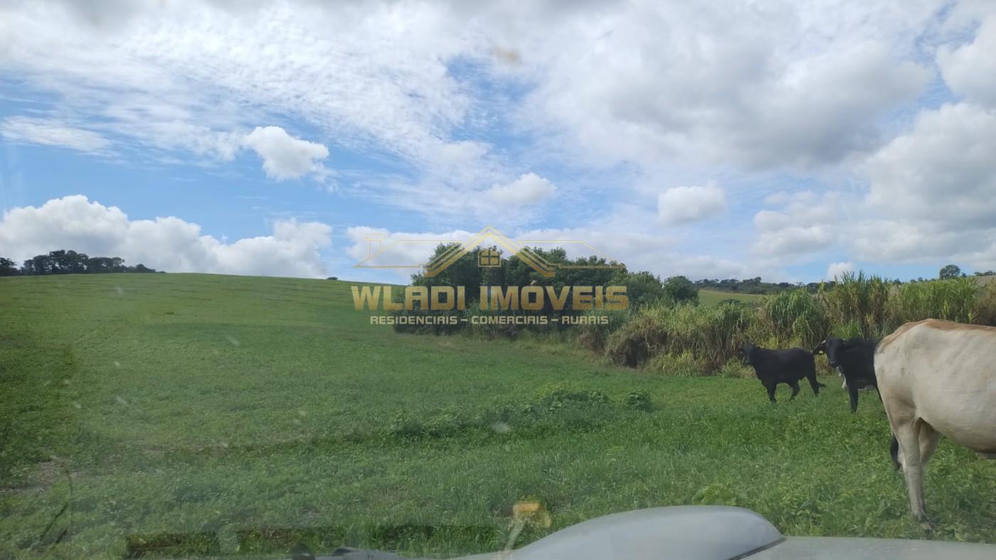 Fazenda à venda, 160m² - Foto 10