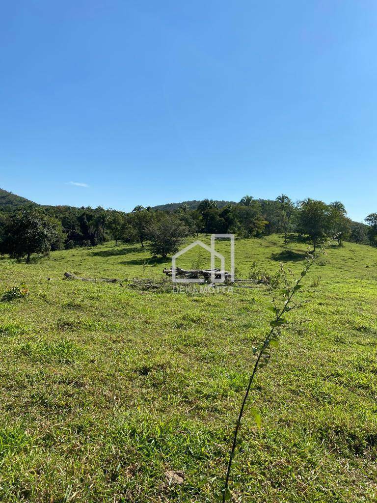 Fazenda à venda com 3 quartos, 21217700000M2 - Foto 39