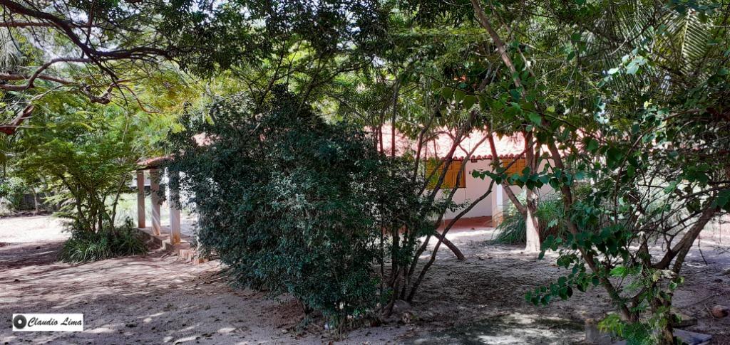 Fazenda à venda com 4 quartos, 180m² - Foto 16