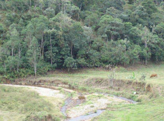 Fazenda à venda com 5 quartos, 1331000M2 - Foto 22