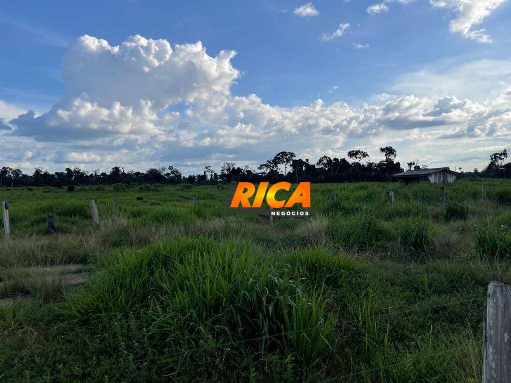 Sítio, 40 hectares - Foto 30