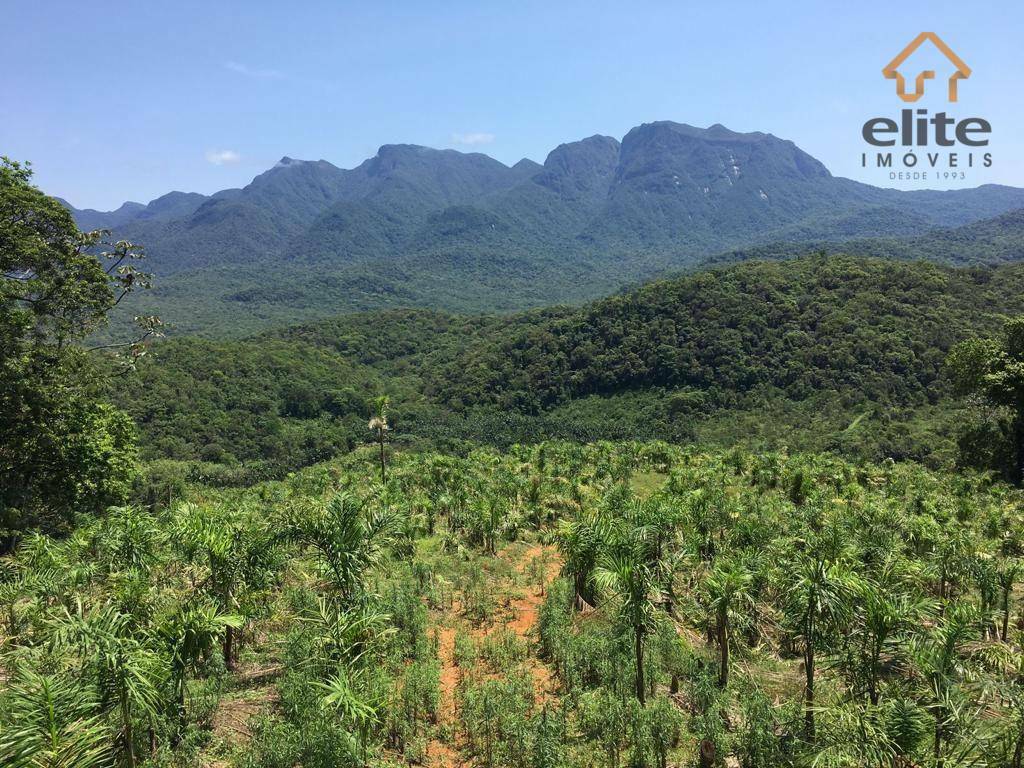 Fazenda à venda com 5 quartos, 4822600M2 - Foto 13