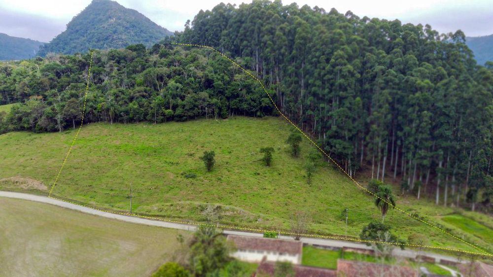 Fazenda à venda, 23900m² - Foto 6