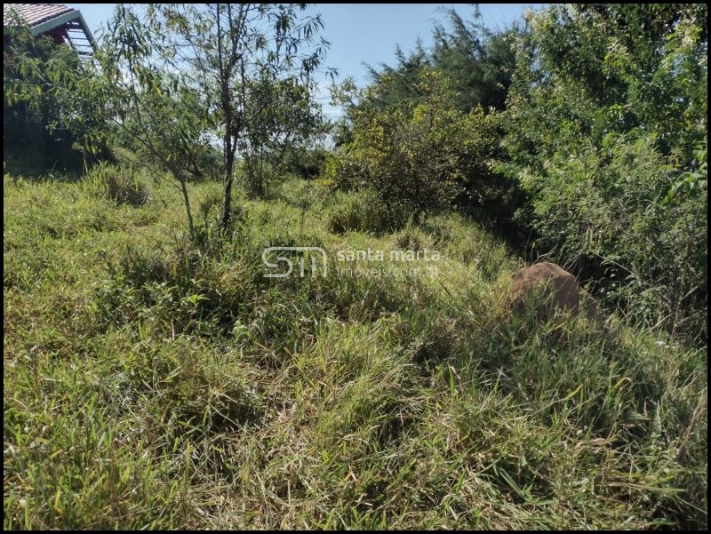 Terreno à venda, 2940m² - Foto 1