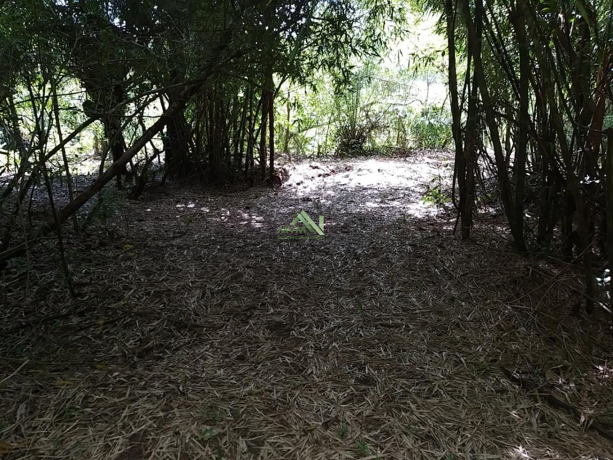 Fazenda à venda com 4 quartos, 430000m² - Foto 14