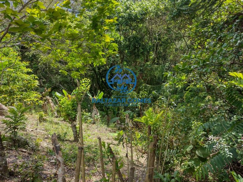 Sítio à venda com 3 quartos, 58000m² - Foto 26