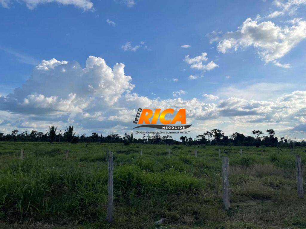 Sítio, 40 hectares - Foto 33