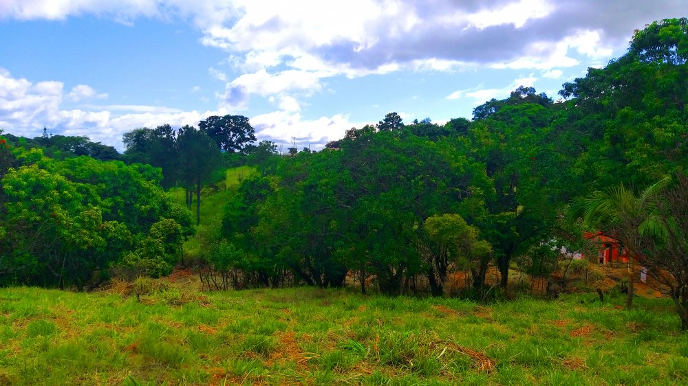 Terreno à venda, 1300m² - Foto 9