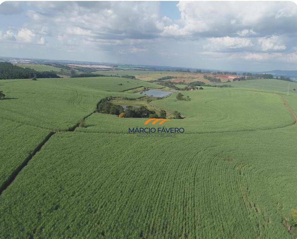 Fazenda, 307 hectares - Foto 10