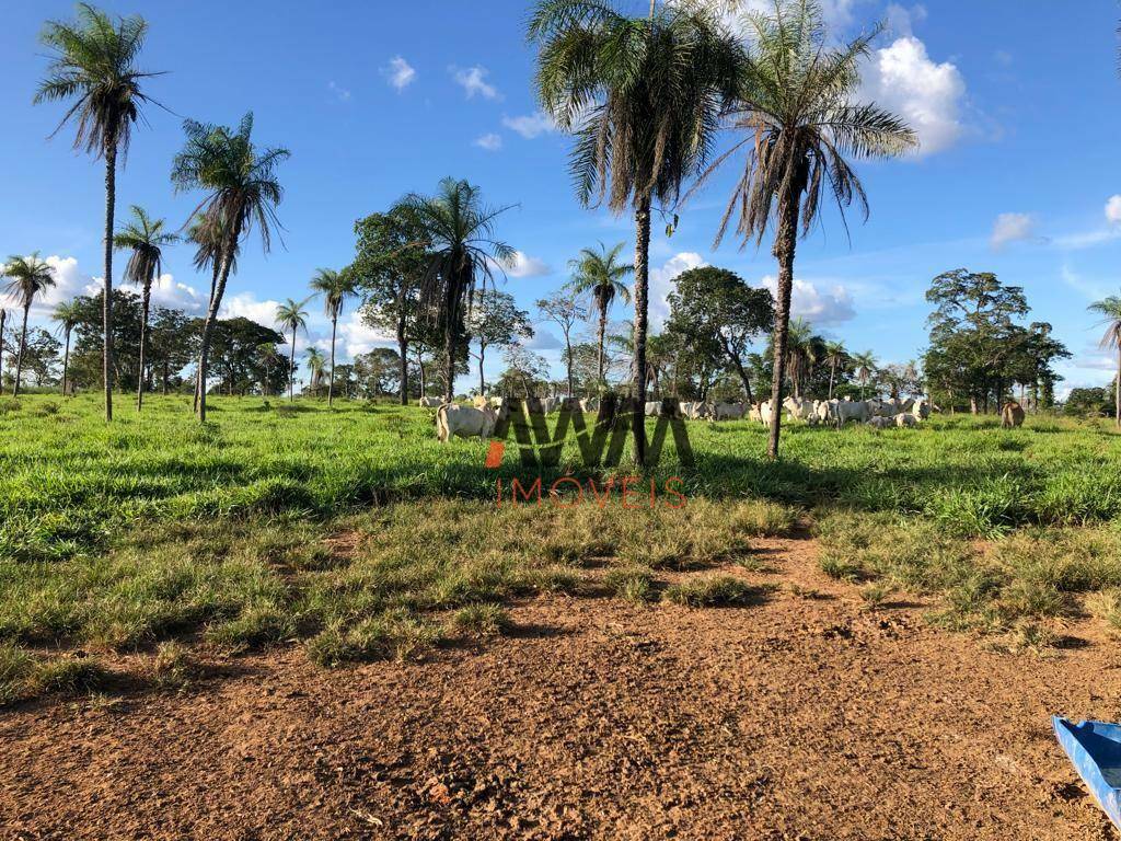 Fazenda à venda, 25748800M2 - Foto 26