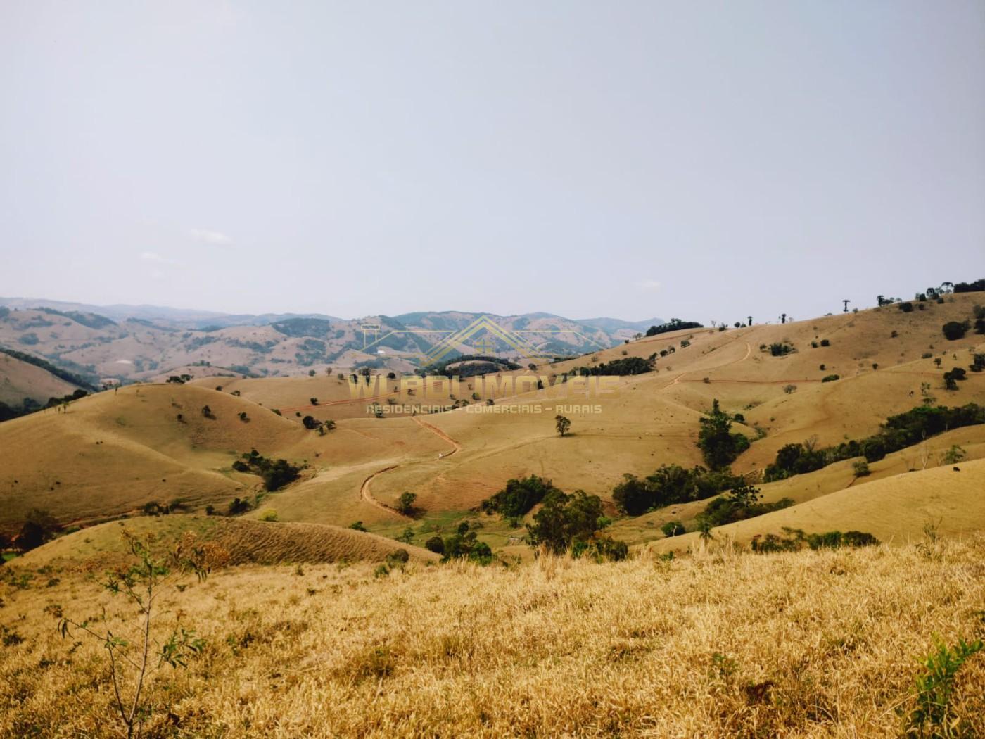 Terreno à venda, 20000m² - Foto 12
