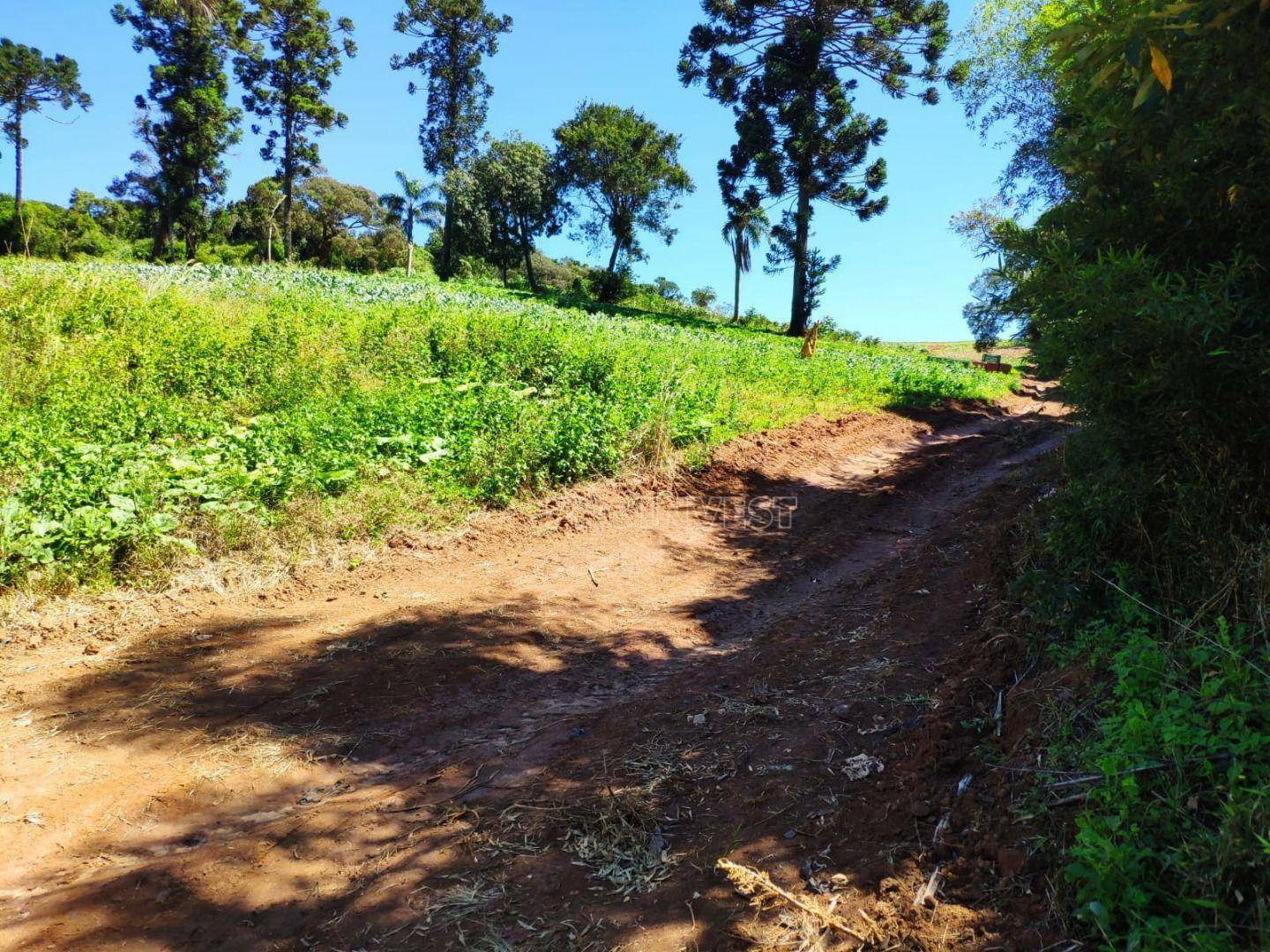 Terreno à venda, 45737M2 - Foto 16