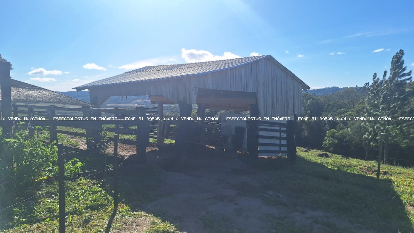 Sítio à venda com 2 quartos, 60000m² - Foto 10