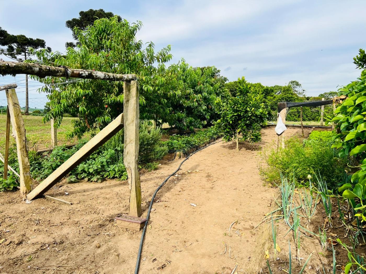 Fazenda à venda, 28000m² - Foto 48