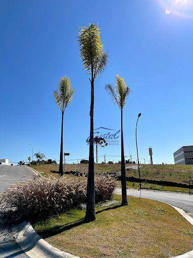 Loteamento e Condomínio à venda, 149M2 - Foto 4