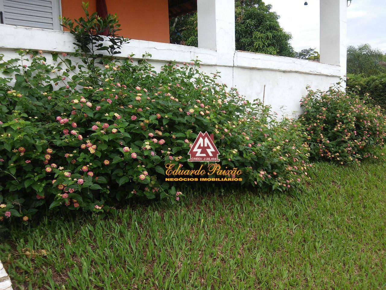 Sítio, 3 quartos, 2624 m² - Foto 3