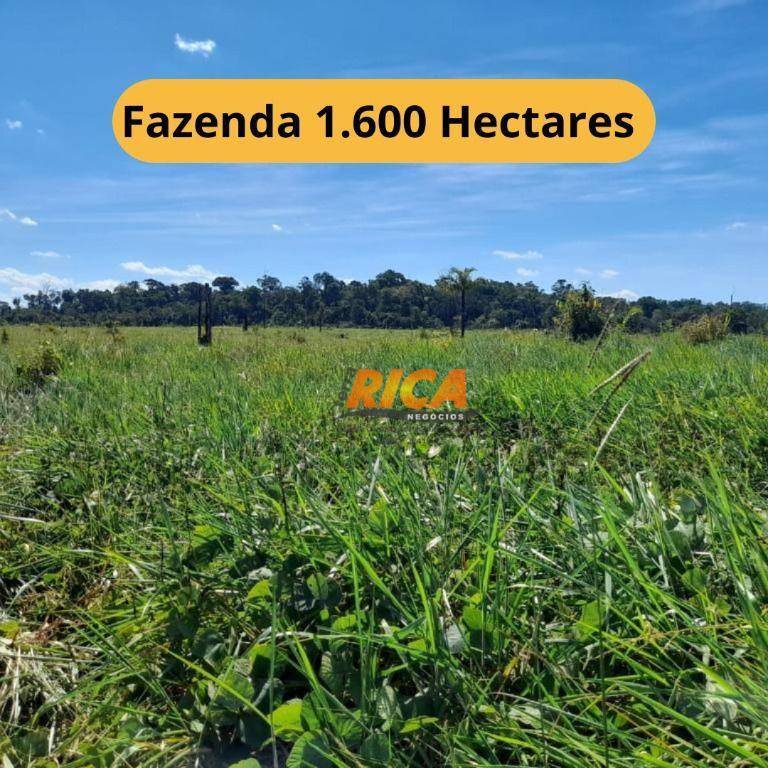 Fazenda-Sítio-Chácara, 1600 hectares - Foto 1