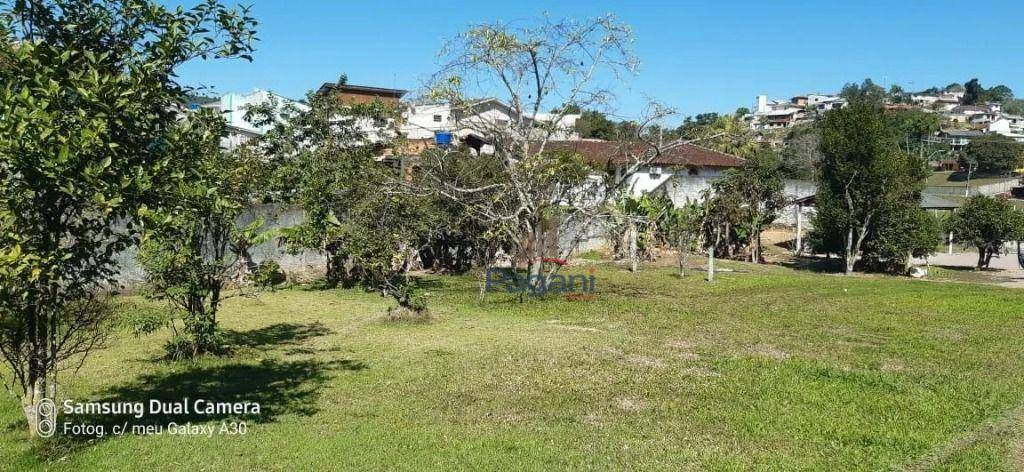 Terreno à venda, 4000M2 - Foto 4