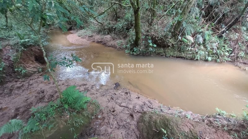 Fazenda-Sítio-Chácara, 36 hectares - Foto 1