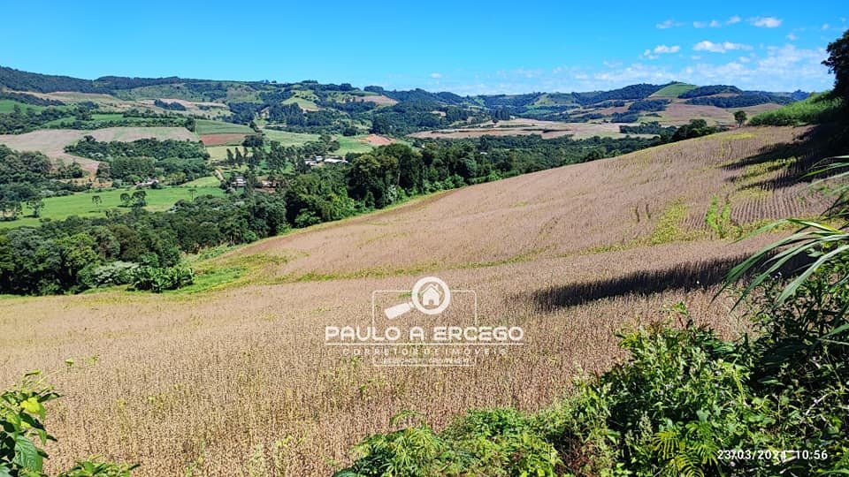 Fazenda à venda, 7m² - Foto 5