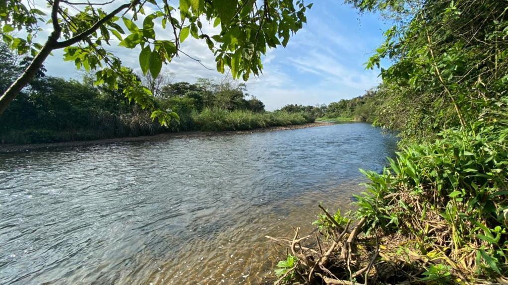 Chácara à venda com 3 quartos, 12000m² - Foto 27