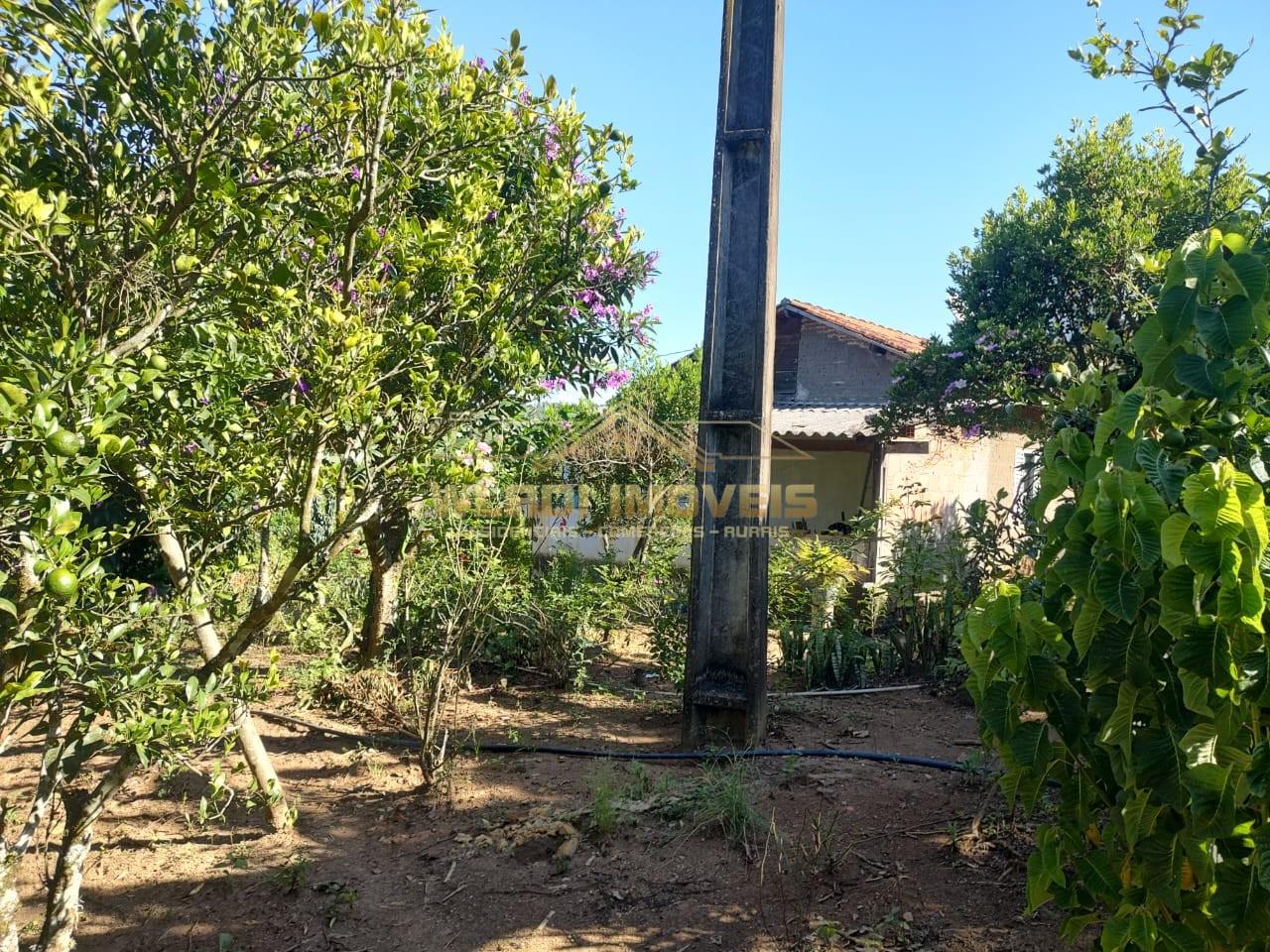 Chácara à venda, 5000m² - Foto 15