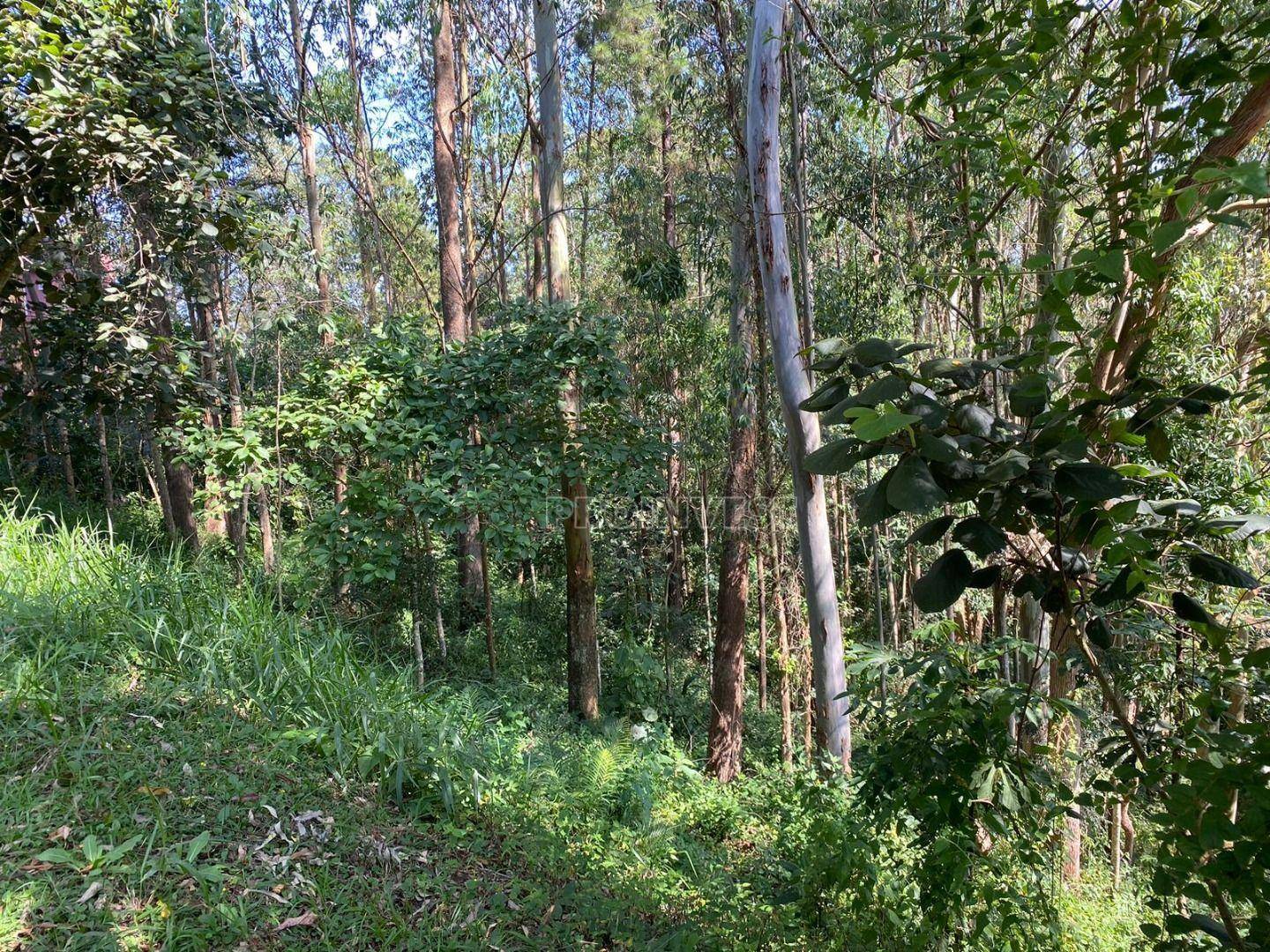 Loteamento e Condomínio à venda, 1137M2 - Foto 3