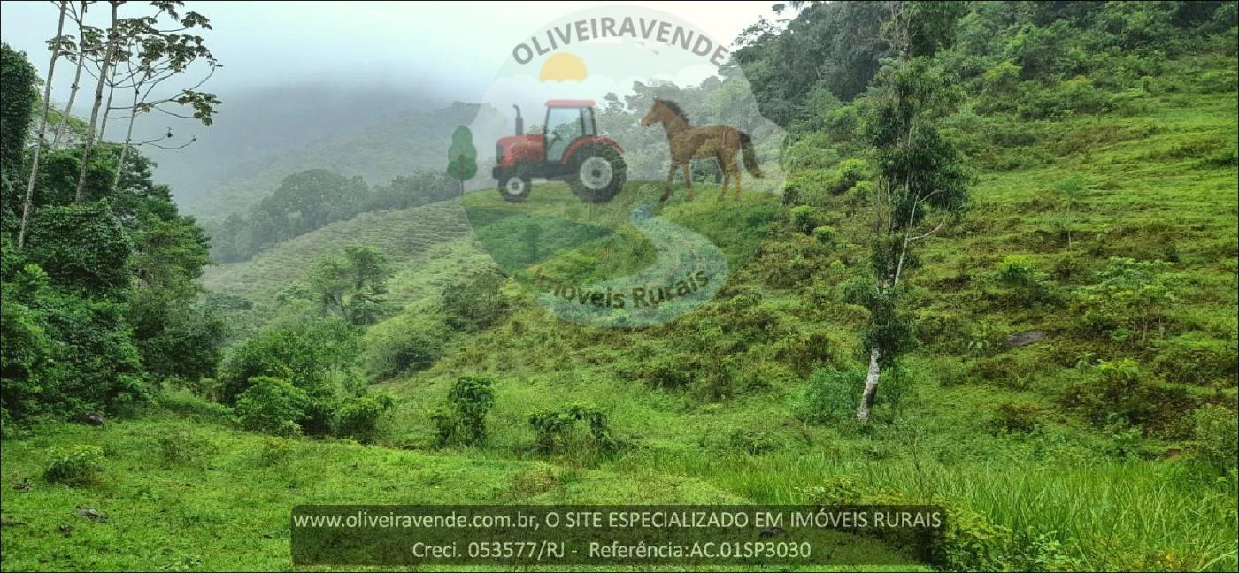 Sítio à venda com 2 quartos, 75000m² - Foto 22