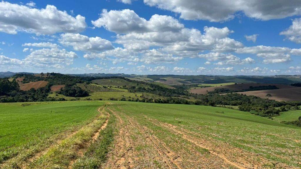Fazenda, 339 hectares - Foto 7