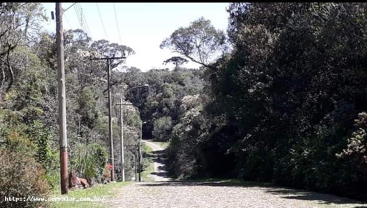 Terreno à venda, 600m² - Foto 4