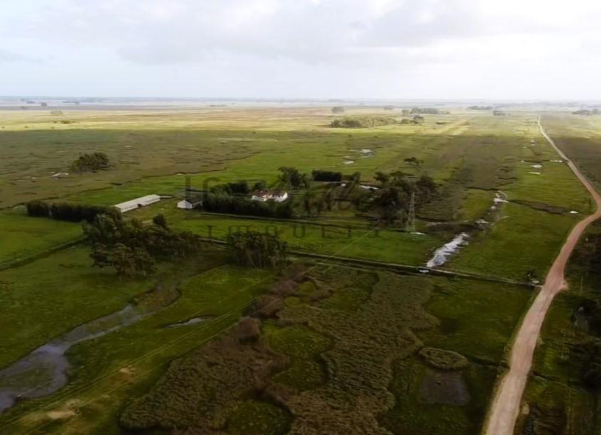 Fazenda à venda, 2300m² - Foto 14