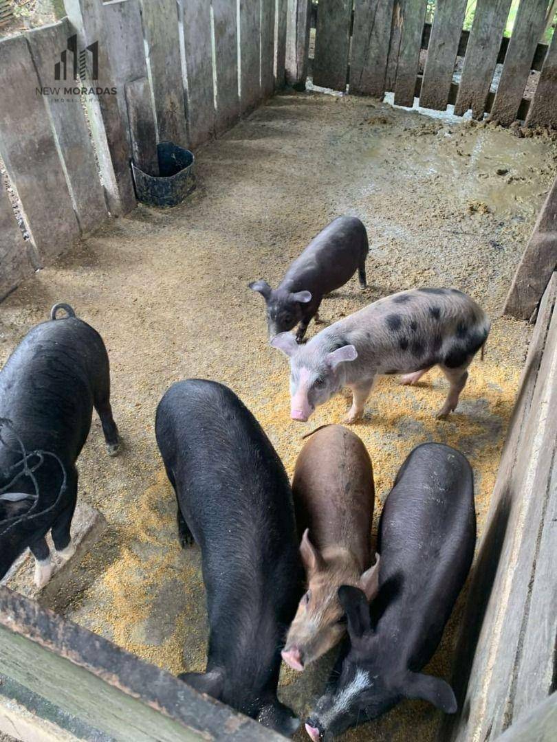 Chácara à venda com 2 quartos, 90m² - Foto 25