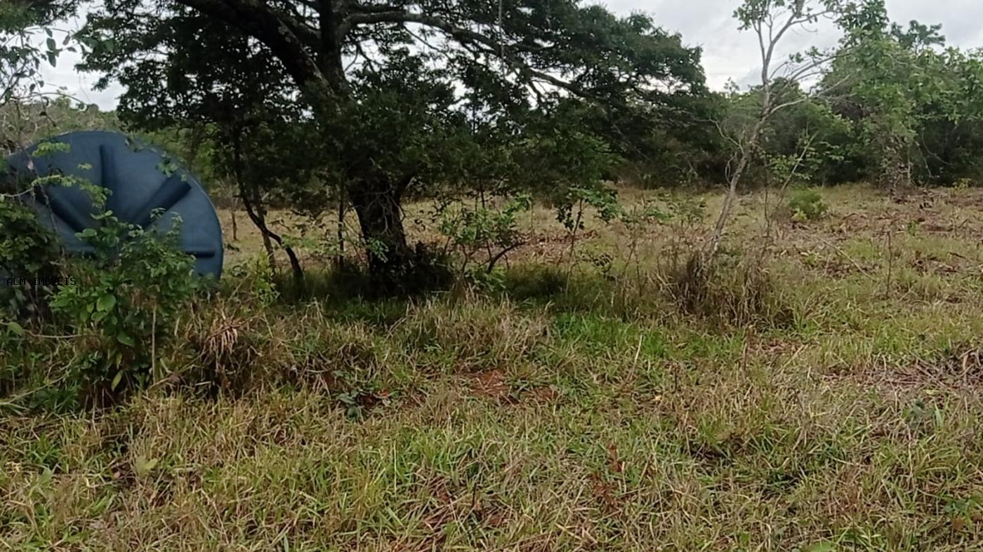 Chácara à venda, 26000m² - Foto 20