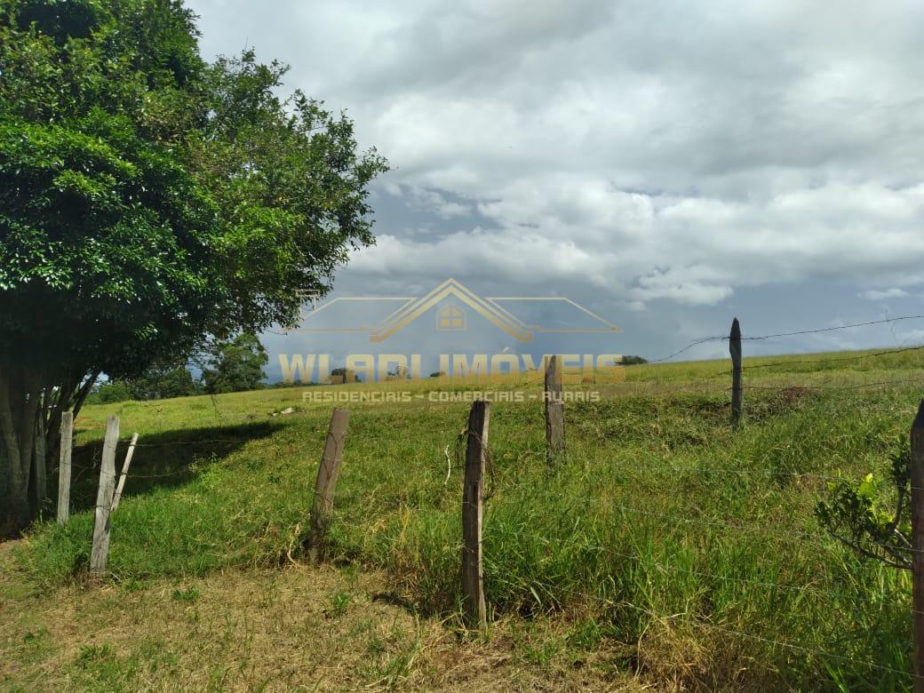 Fazenda à venda, 145000m² - Foto 12