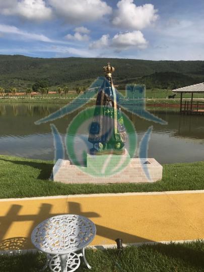 Fazenda-Sítio-Chácara - Foto 13