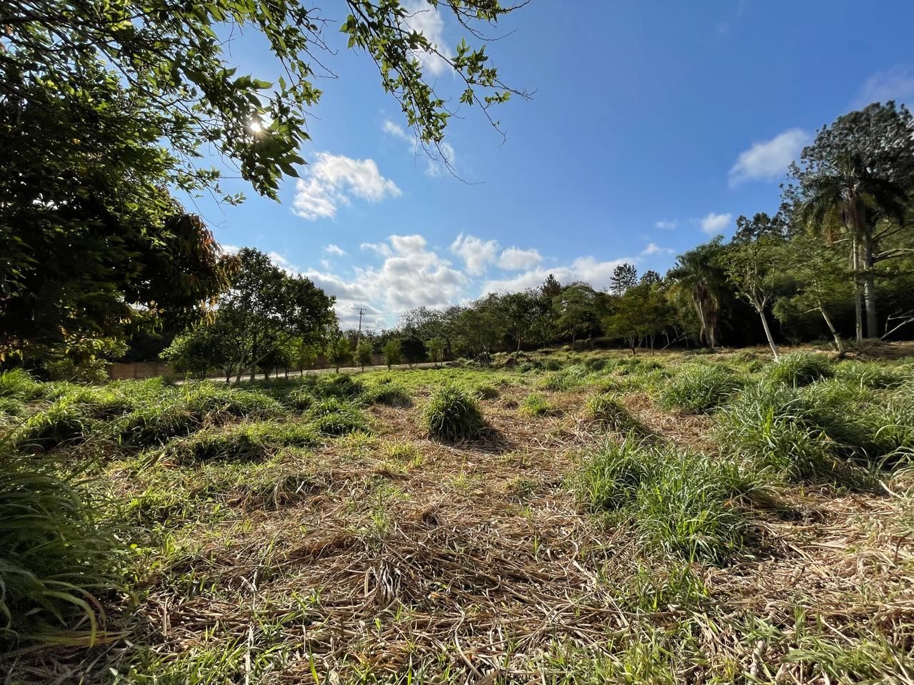 Loteamento e Condomínio à venda, 4812M2 - Foto 12