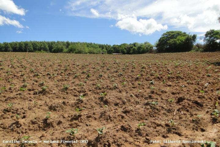 Loteamento e Condomínio à venda, 40000m² - Foto 22