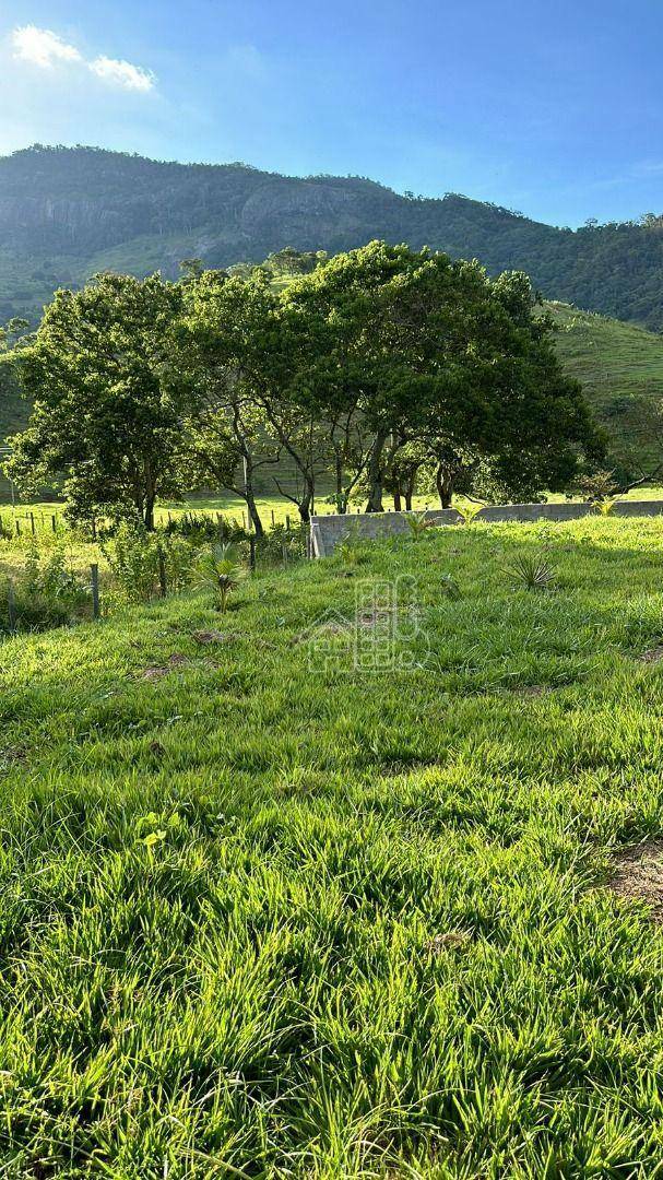 Fazenda-Sítio-Chácara, 54 hectares - Foto 4