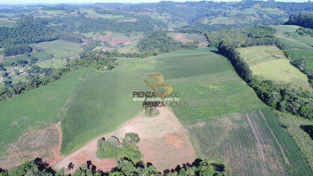 Terreno à venda, 197000M2 - Foto 5