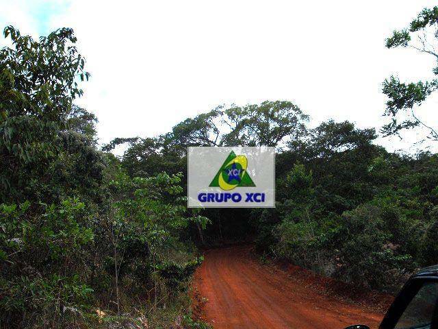 Fazenda à venda, 10050000M2 - Foto 6