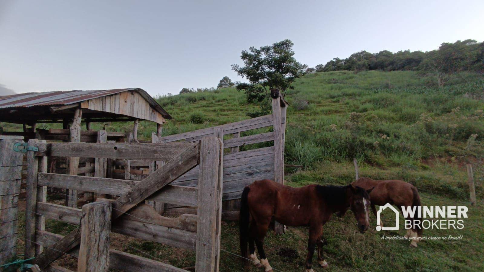Sítio, 4 quartos, 34 hectares - Foto 13