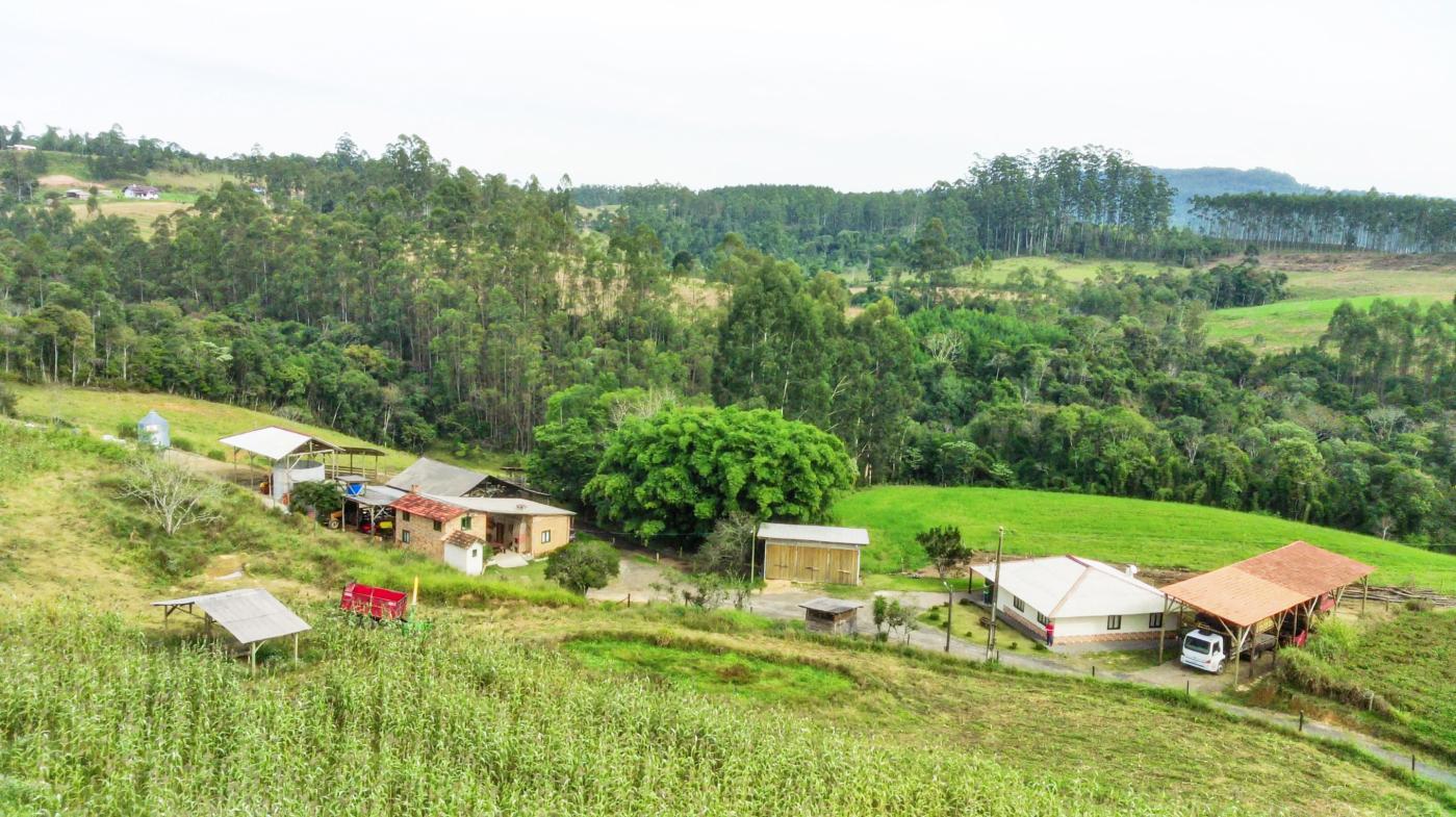 Fazenda à venda com 3 quartos, 205000m² - Foto 38