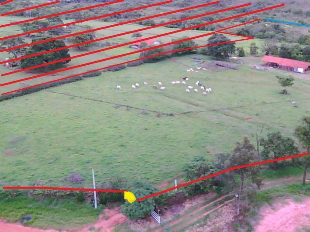 Sítio, 41 hectares - Foto 5