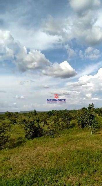 Fazenda à venda com 1 quarto, 17800000M2 - Foto 25