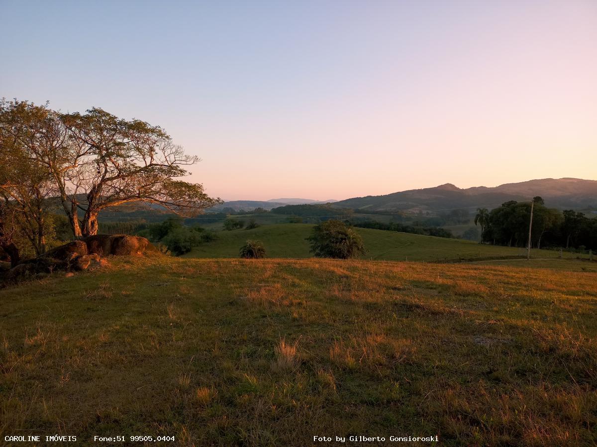 Fazenda à venda com 3 quartos, 586000m² - Foto 28