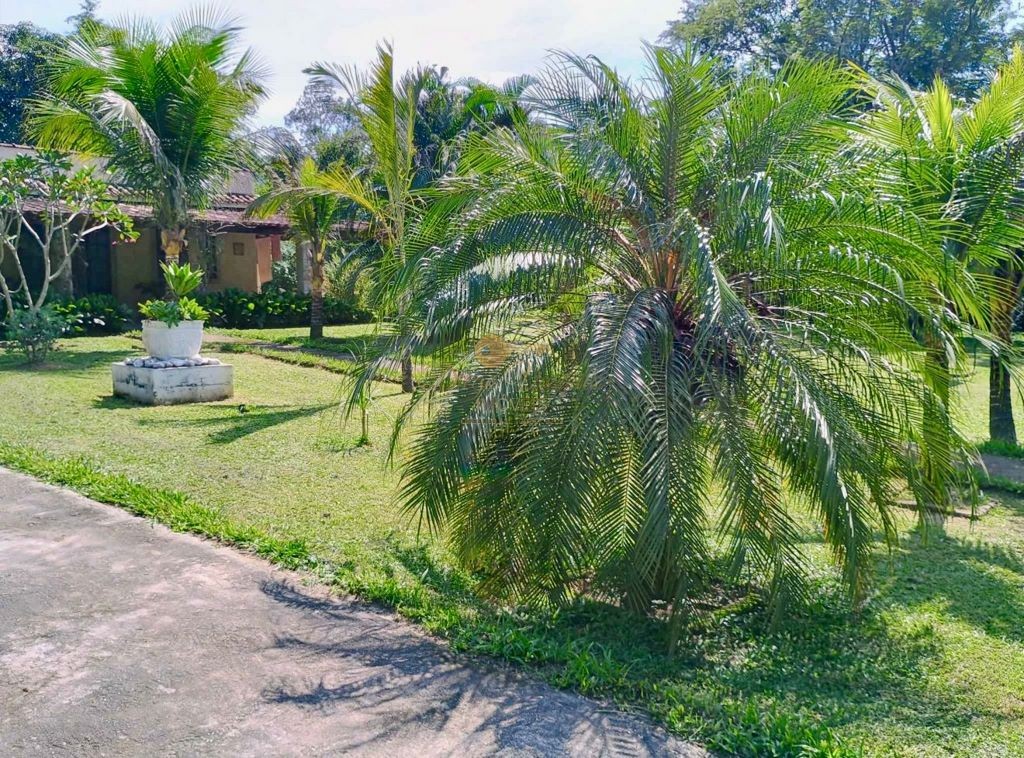 Sítio à venda com 3 quartos, 10000m² - Foto 3