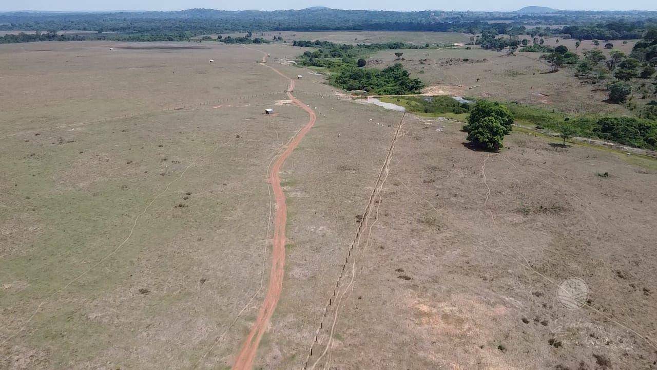 Fazenda-Sítio-Chácara, 214 hectares - Foto 3