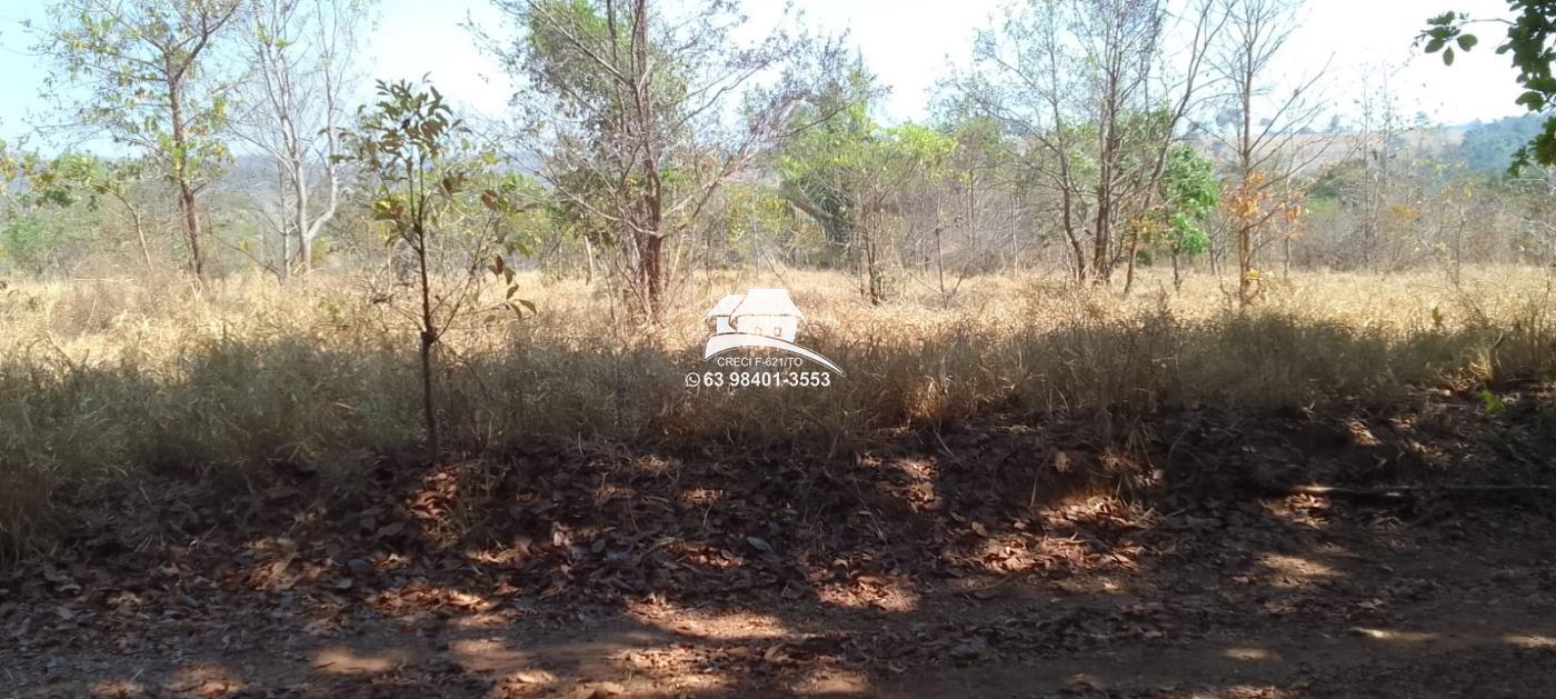 Fazenda à venda, 1m² - Foto 7