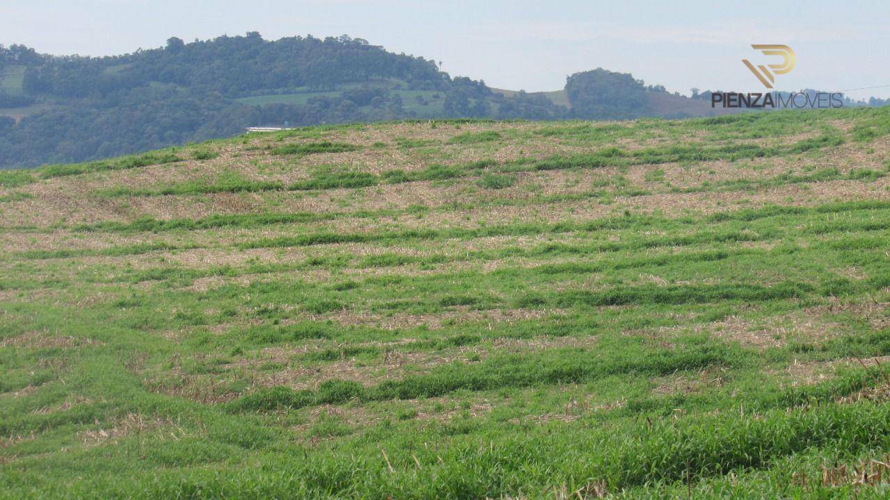 Terreno à venda, 60000M2 - Foto 16