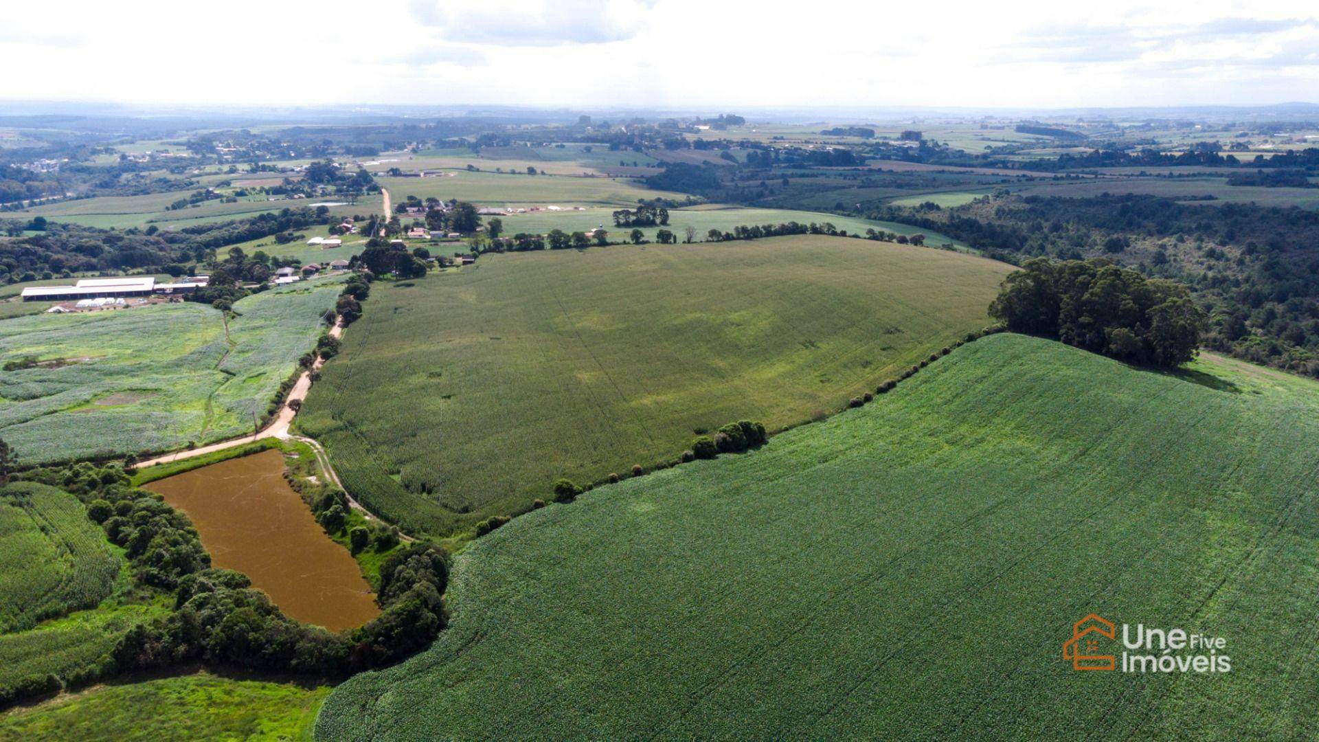 Terreno à venda, 552000M2 - Foto 8